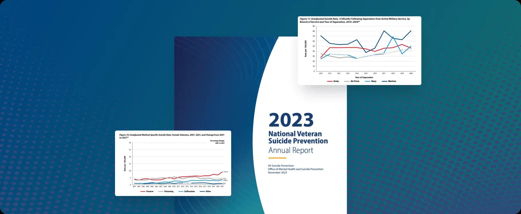 Suicide Prevention Annual Report